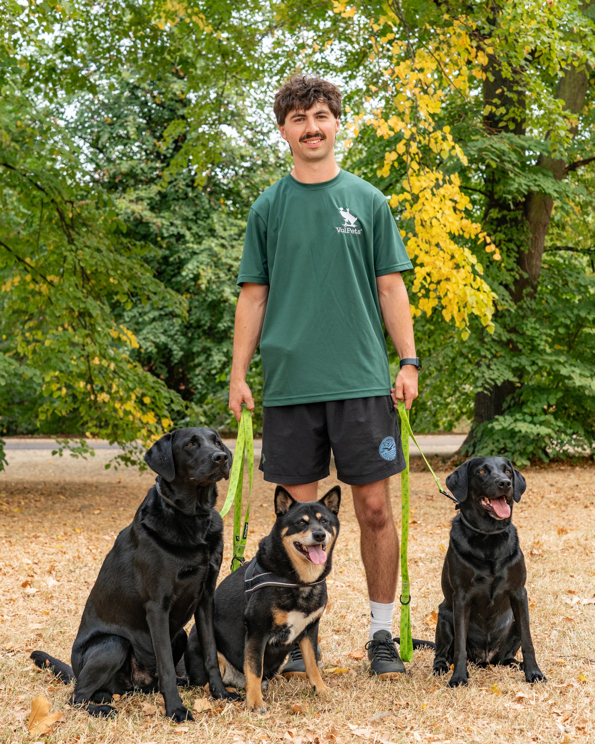 A Volpets trainer working one-to-one with a dog