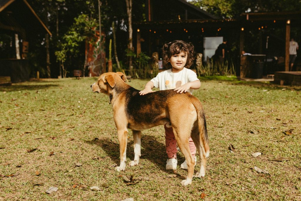 A girl petting a dog outside on the grass.